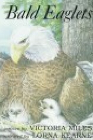 Cover of Bald Eaglets