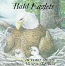 Book cover for Bald Eaglets