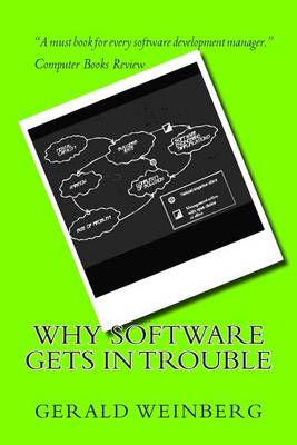 Book cover for Why Software Gets in Trouble