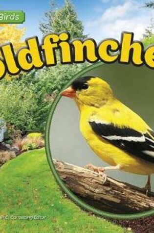 Cover of Goldfinches