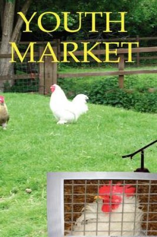 Cover of Youth Market