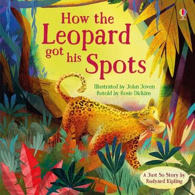Cover of How the Leopard got his Spots