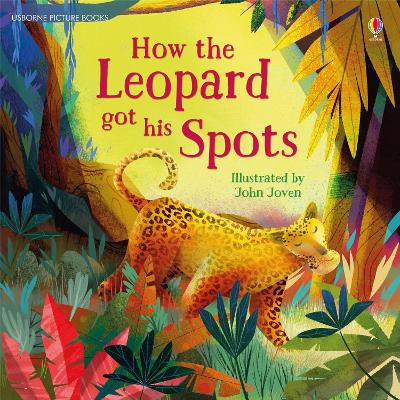 Book cover for How the Leopard got his Spots