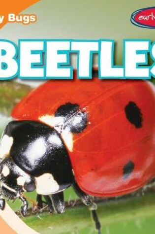 Cover of Beetles