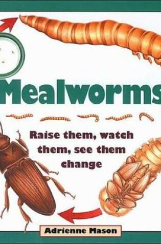 Cover of Mealworms