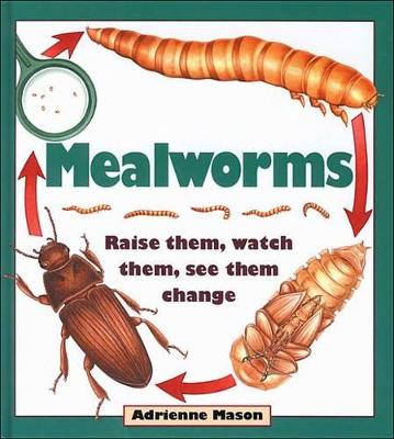 Cover of Mealworms