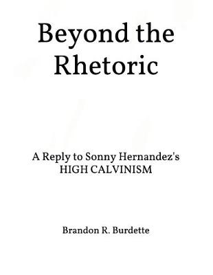 Book cover for Beyond the Rhetoric
