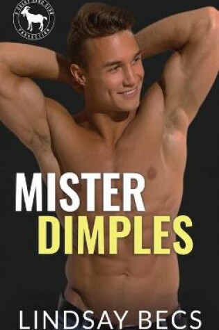 Cover of Mister Dimples