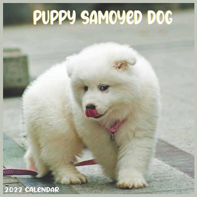 Book cover for Samoyed Puppy 2022 Calendar