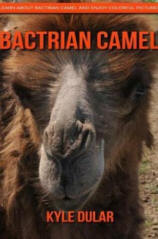 Cover of Bactrian Camel! Learn about Bactrian Camel and Enjoy Colorful Pictures
