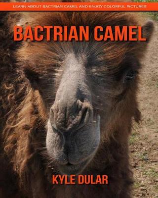 Book cover for Bactrian Camel! Learn about Bactrian Camel and Enjoy Colorful Pictures