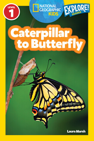 Cover of National Geographic Kids Readers: Caterpillar to Butterfly