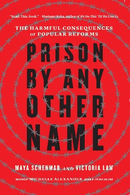 Book cover for Prison by Any Other Name