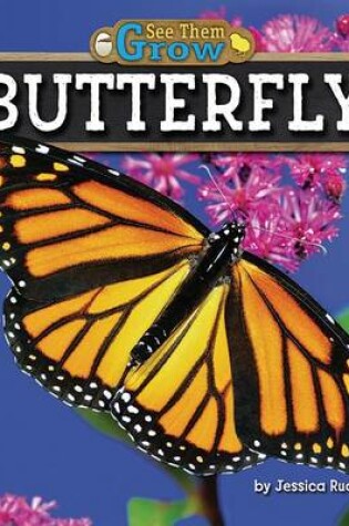 Cover of Butterfly