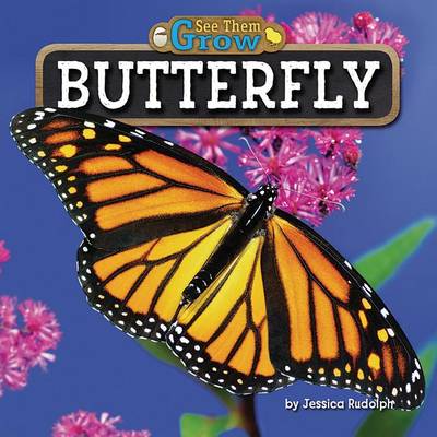 Cover of Butterfly