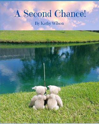 Book cover for A Second Chance!