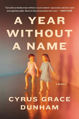 Book cover for A Year Without a Name