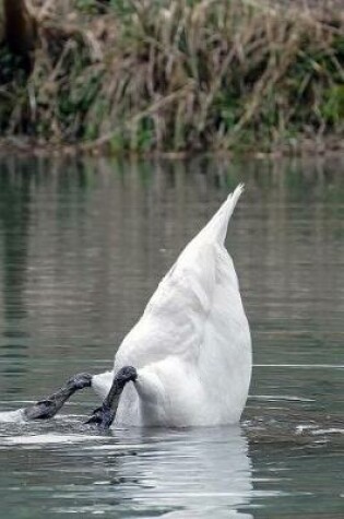 Cover of A Swan Bottoms Up in a Lake Journal