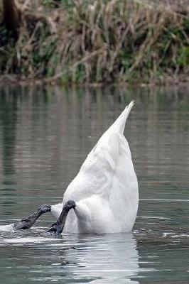 Book cover for A Swan Bottoms Up in a Lake Journal