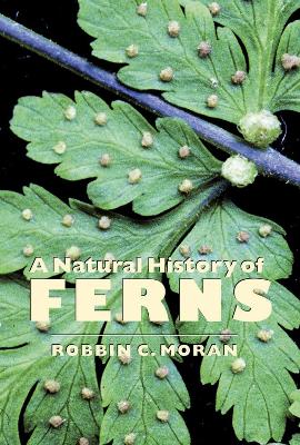 Book cover for A Natural History of Ferns