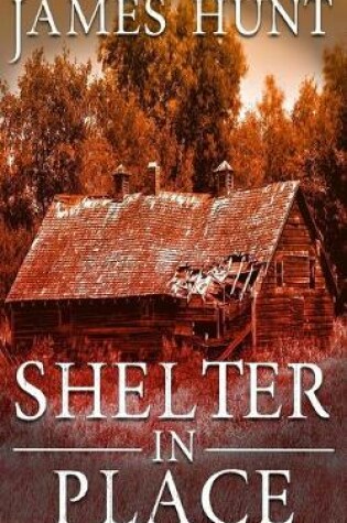 Cover of Shelter In Place