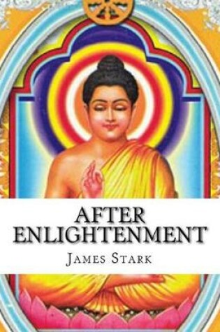 Cover of After Enlightenment