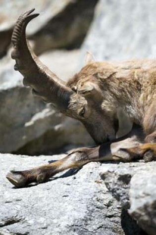 Cover of European Gemse Falling Asleep, for the Love of Animals