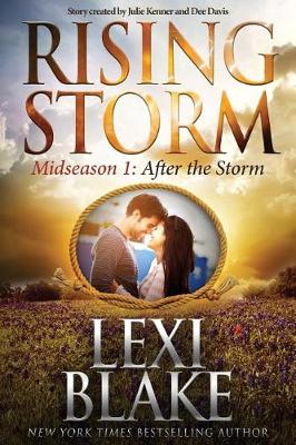 Book cover for After the Storm
