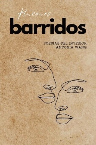 Cover of Rincones barridos