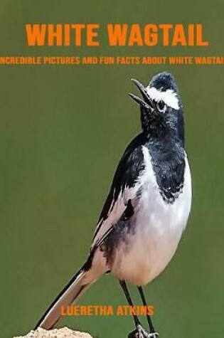 Cover of White Wagtail