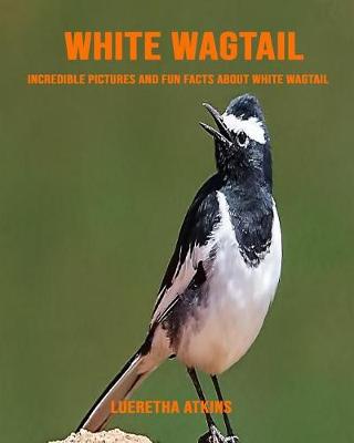 Book cover for White Wagtail