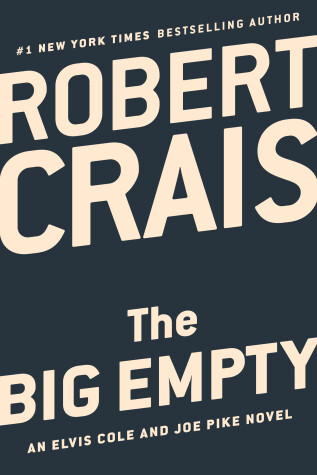 Book cover for The Big Empty