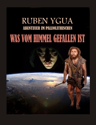 Book cover for Was Vom Himmel Gefallen Ist