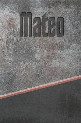 Book cover for Mateo