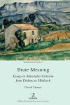 Book cover for Brute Meaning