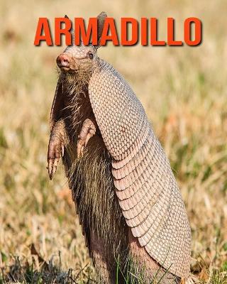 Book cover for Armadillo