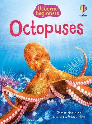 Cover of Beginners Octopuses
