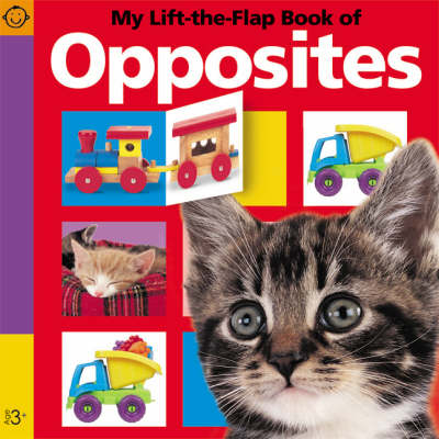 Book cover for Pancake - Lift The Flap - Opposites