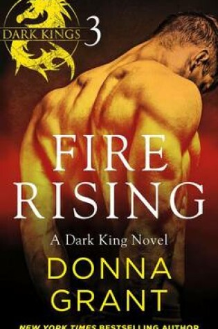 Cover of Fire Rising: Part 3
