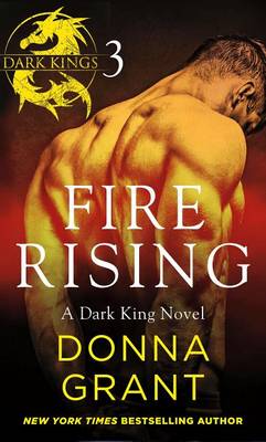 Book cover for Fire Rising: Part 3