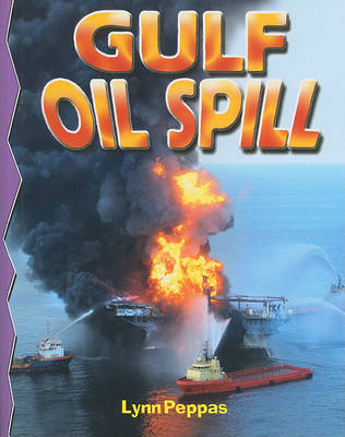 Book cover for Gulf Oil Spill