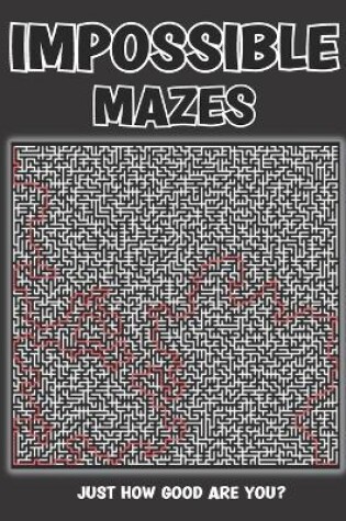 Cover of Impossible Mazes