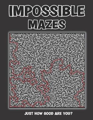 Book cover for Impossible Mazes