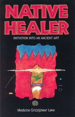 Book cover for Native Healer