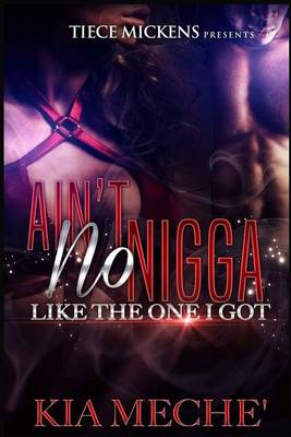 Book cover for Ain't No Nigga Like The One I Got