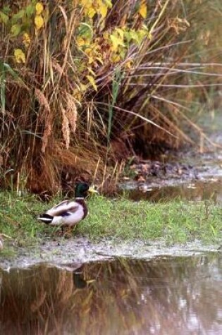 Cover of Journal Duck Reflection Water's Edge