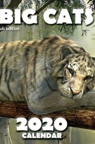 Cover of Big Cats 2020 Calendar (UK Edition)