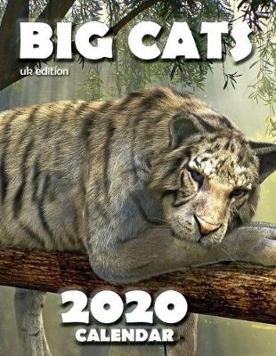 Book cover for Big Cats 2020 Calendar (UK Edition)