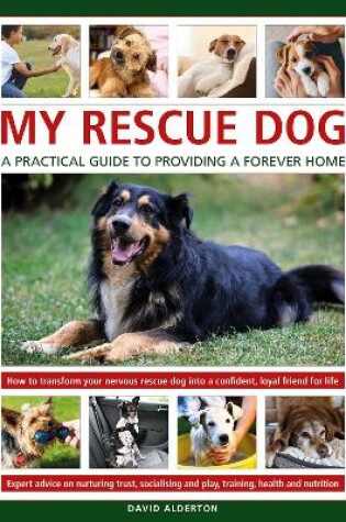 Cover of My Rescue Dog: A practical guide to providing a forever home