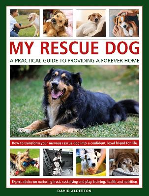 Book cover for My Rescue Dog: A practical guide to providing a forever home